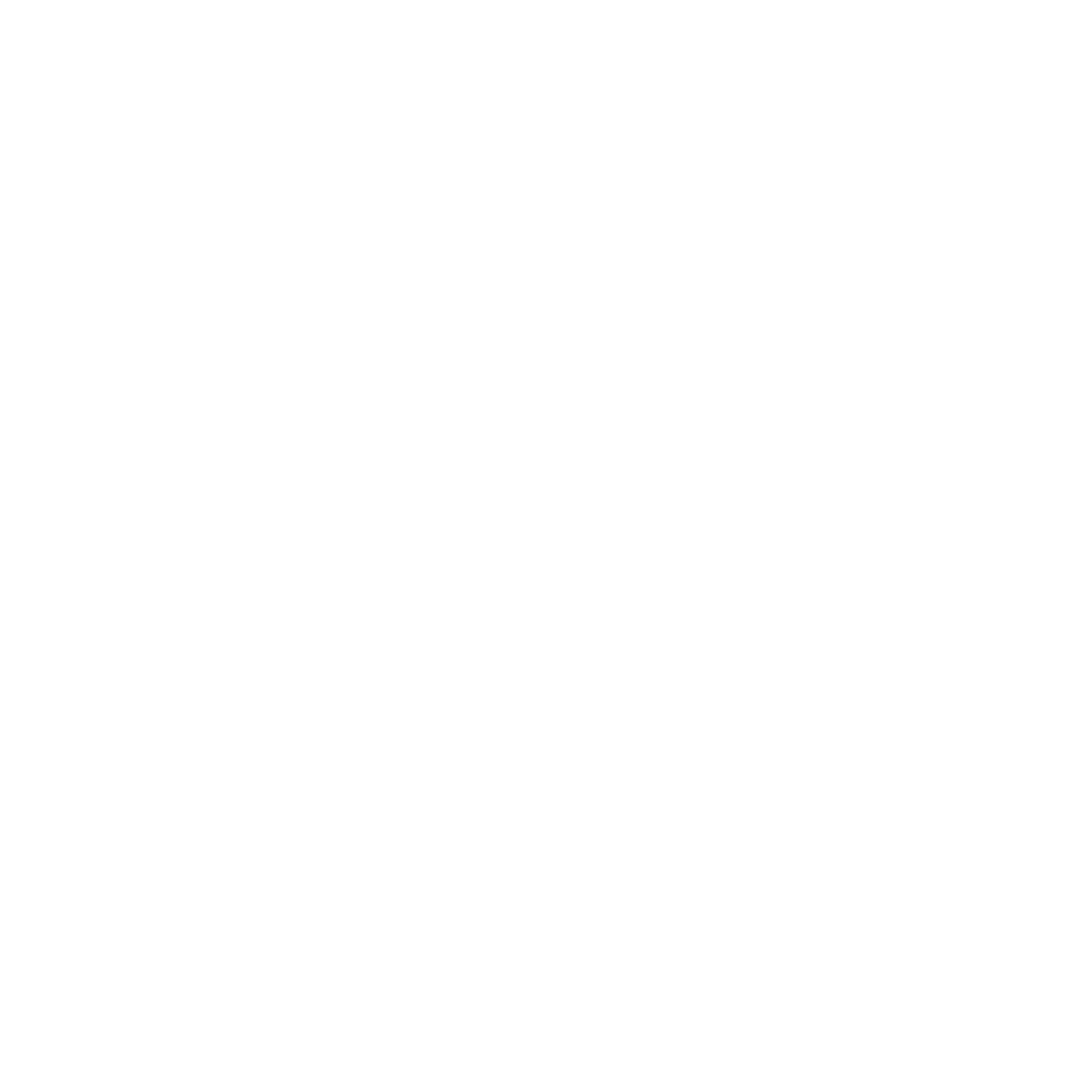 New BFTV Logo 2 white